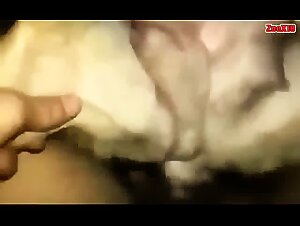 Wild Bestial Orgasms