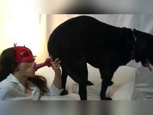 Wild canine orgies: Explore the craziest desires