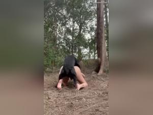 Wild delight: extreme video bestiality