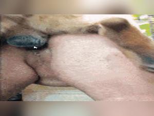 Wild Delights: Analina and her Dog in Passionate Eclipse