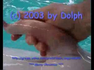 Wild Delights: Animal Feminism Explored