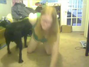 Wild delights: canine bestiality