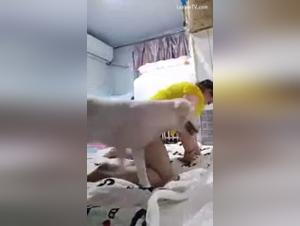 Wild Delights: Canine Obsession and Feminine Desires