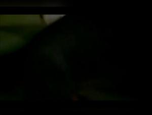 Wild Delights: Exploring Canine Bestiality