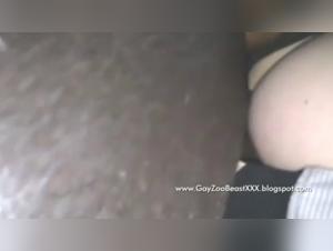 Wild Delights: Extreme XXX with Animals