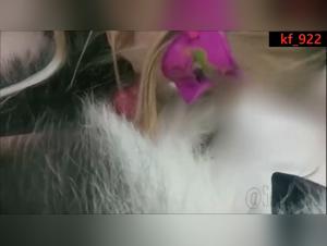 Wild Delights: Lesbian and Dog Love