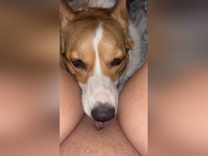 Wild Delights: Licking Animal Fetish