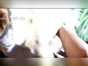 Wild Delights: Zoofilia Hardcore and Broken Taboos