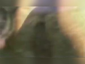 Wild Desire: Animal Fuck on the Dunes