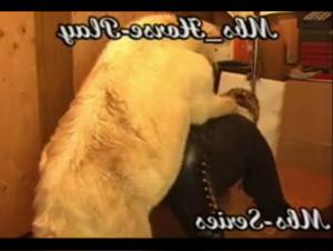 Wild Desire: Extreme Horse Sex Compilation - LustMonster