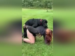 Wild Desire: Hardcore Animal Sex