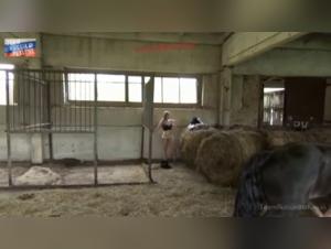 Wild Desire: Masha Explores Equestrian Addiction