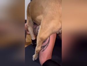 Wild desire: The animal abyss at work