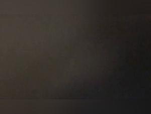 Wild desire: uncontrollable animal pleasure