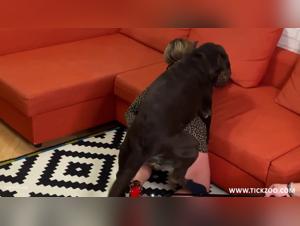 Wild desire: Veronica Sileileto and the uncompromising leopard