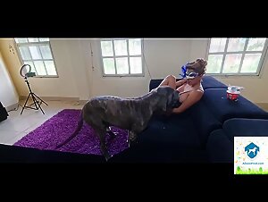 Wild desires: Alissonsprod presents the Hardcore K9