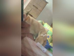 Wild desires: prohibited intimacy revealed