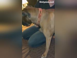 Wild dog fuck: ruthless homemade scenes