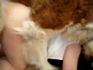 Wild Dogging: Taboo and Debauched Delights