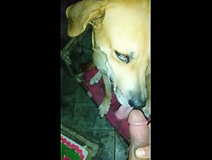 Wild Fuck: Black Dog and Dirty Whore