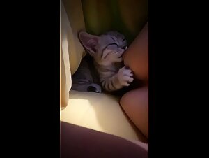 Wild fuck: pussy and big cock