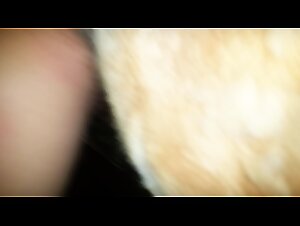 Wild Fuck: Woman and Dog