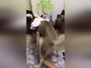 Wild Fucking: Unimaginable Asian Doggystyle