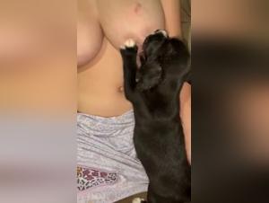 Wild lactation: desires cattle