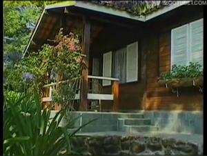 Wild Latina orgy: exacerbated bestiality