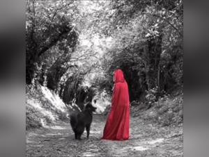 Wild lust: prohibited connection