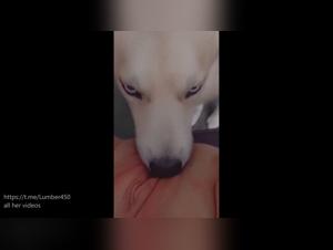 Wild orgies: Canine and adolescent counteg