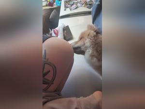 Wild Orgies: The Frontier of Desire