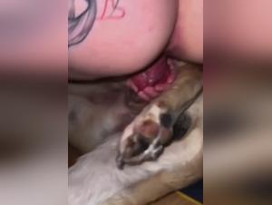 Wild Rampages: Animal Appetite in Action