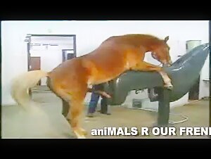 Wild ride with an equine