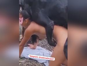 Wild sex with dog: links and domination