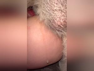 Wild world of bestial desires