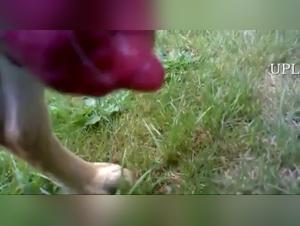 Wild Zoofilia: Yuyu Nekomura and his animal desire