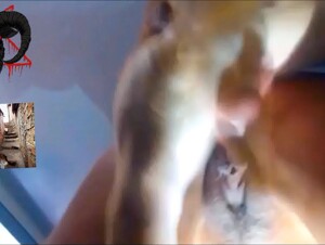 Wild zoophilia: Hell on legs ignites a teenager