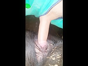 Woman and dog: a beastly encounter (part 2)