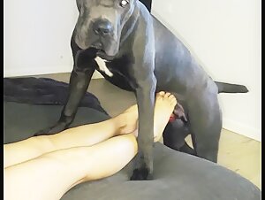 Woman and dog: a forbidden meeting (discover my profile)