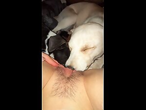 Woman and dog: a sensual encounter