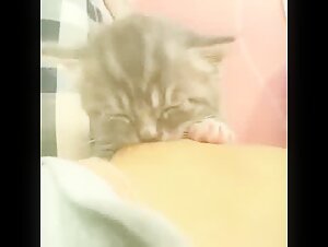 Woman and dog: an intimate and forbidden relationship