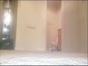 Woman and Dog - Climbing on 4 Legs