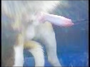 Woman and Dog: Forbidden Ecstasy