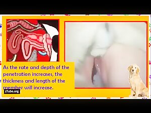 Woman and Dog: Instructions for an Exciting Compilation