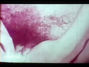 Woman and Dog - Vintage Bestiality Sex Video