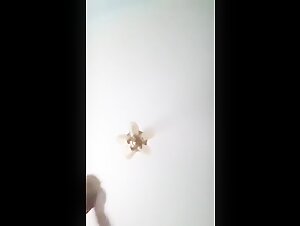 Woman and her dog: a bestial and intense encounter