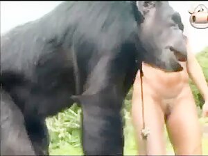 Woman and her faithful canine companion: a story of intense bestiality