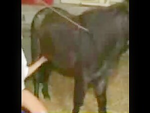 Woman and her pony K9Media Rhea