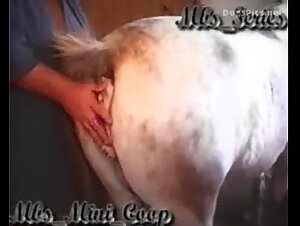 Woman and horse: a bestial and intense encounter